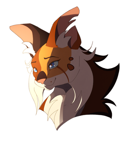 Head / Bust