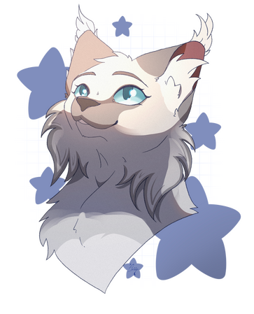 Head / Bust