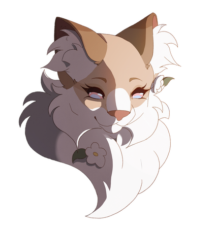 Head / Bust